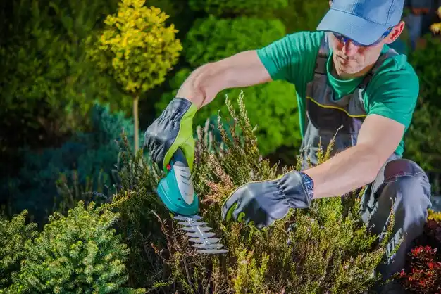 landscaping services Merriam Woods